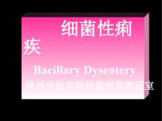 细菌性痢疾-课件