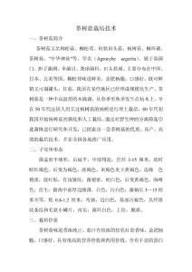 茶樹菇栽培技術