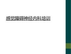感觉障碍神经内科培训