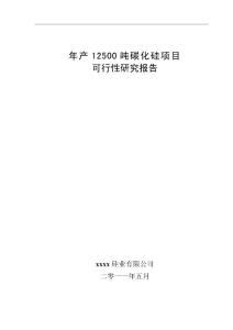 年產12500噸碳化硅項目可行性研究報告