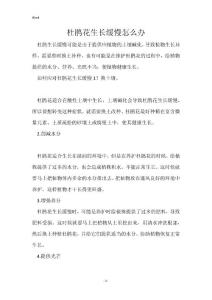 杜鹃花生长缓慢怎么办