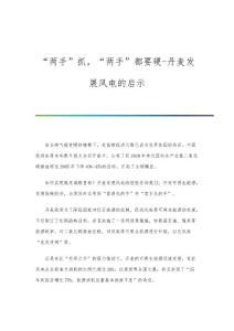 两手抓两手都要硬-丹麦发展风电的启示
