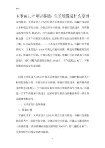 玉米苗几叶可以移植，生长缓慢是什么原因