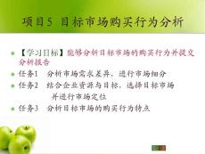 新编市场营销第三版项目5目标市场购买行为分析