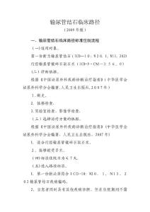 输尿管结石临床路径