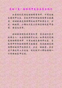 亮丽一夏！猫猫指甲美容套装全推介
