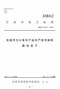 DB62T 1077-2003 张掖市无公害农产品生产技术规程 露地茄子