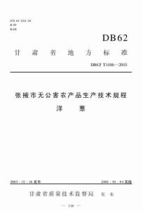 DB62T 1086-2003 张掖市无公害农产品生产技术规程 洋葱