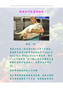 教你如何给爱猫减肥