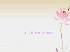 利用相似三角形測高ppt課件