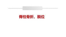 脊柱骨折、脱位