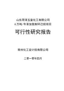 年產6萬噸年苯加氫制環己烷項目可行性研究報告書
