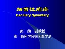细菌性痢疾