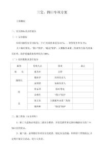 三宝、四口专项方案