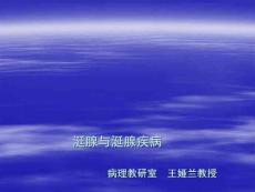 13涎腺组织及涎腺疾病-口腔专业课课件-口腔组织病理