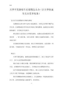 月季不发新枝生长缓慢怎么办（让月季快速生长出更多枝条）
