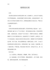 杨桃炭疽病