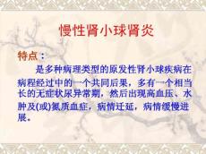 2慢性肾小球肾炎(慢性肾炎