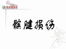 概述髌腱的撕裂或断裂可引起伸膝装置功能障碍