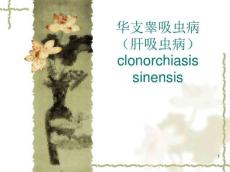 华支睾吸虫病ppt课件