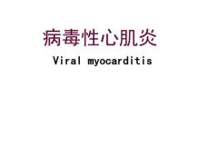 病毒性心肌炎课件