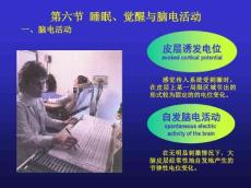 睡眠机制与睡眠障碍PPT课件