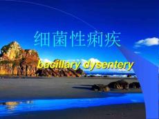 细菌性痢疾PPT课件