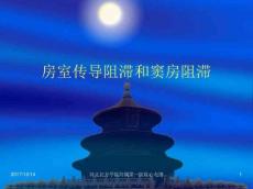 房室传导阻滞和窦房传导阻滞