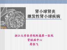 肾小球肾炎继发性肾小球疾病