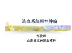 白血病15630