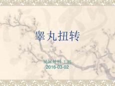 睾丸扭转17235