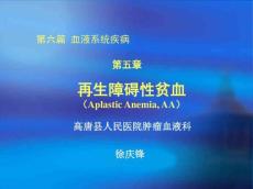 再生障碍性贫血讲课