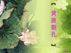 眼底病黄斑裂孔