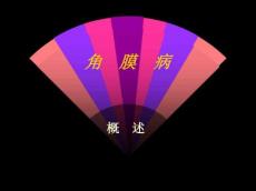角膜病PPT课件