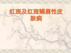 红斑丘疹性皮肤病