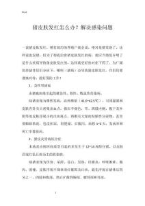 猪皮肤发红怎么办？解决感染问题