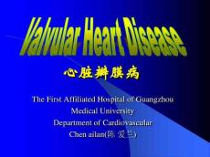 Valvularheartdisease瓣膜性心脏疾病
