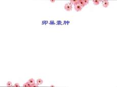 卵巢囊肿12029