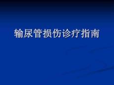 输尿管损伤课件