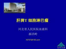T细胞淋巴瘤郝总结