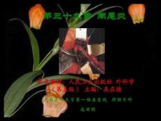 教学阑尾炎