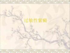 过敏性紫癜4971238413233