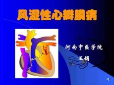 风湿性心脏病讲课_图文