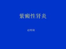 过敏性紫癜13189
