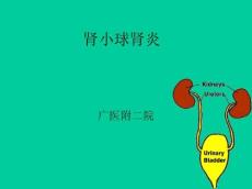 肾小球肾炎7677