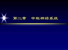 脑外伤教学