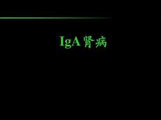 IgA肾病-课件