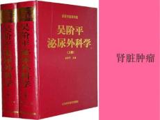 肾癌14908