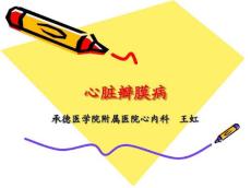 心脏瓣膜病