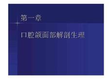 口腔颌面部解剖